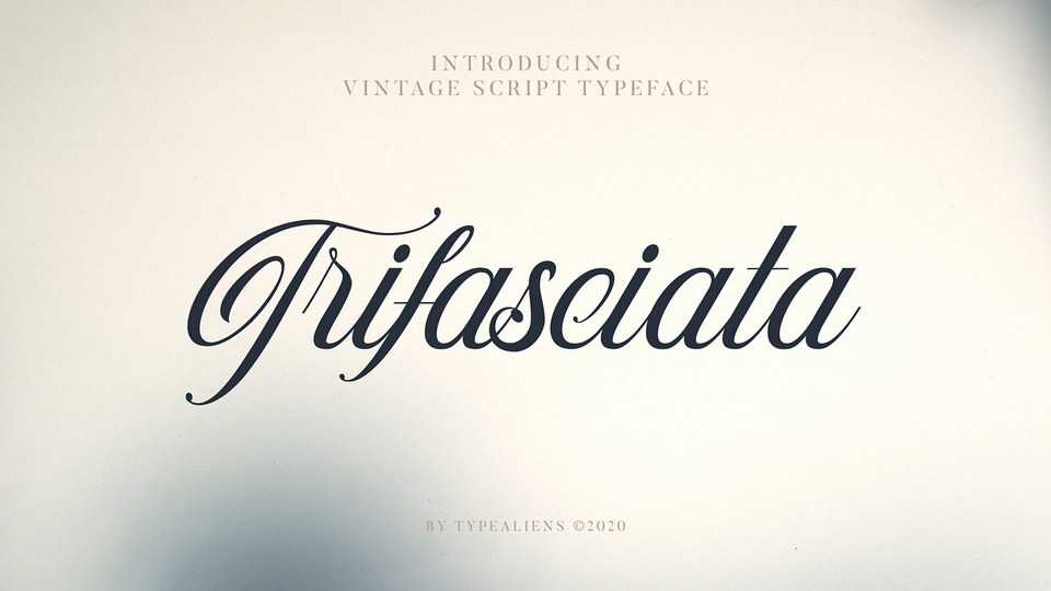 Trifasciata Script Font › Fontesk