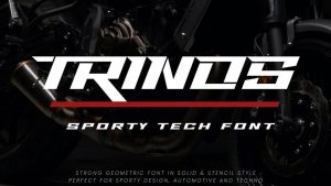 Trinos Font › Fontesk