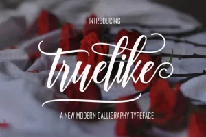 Truelike Script Font
