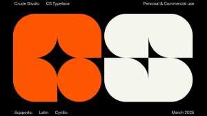 TS Crude Font › Fontesk