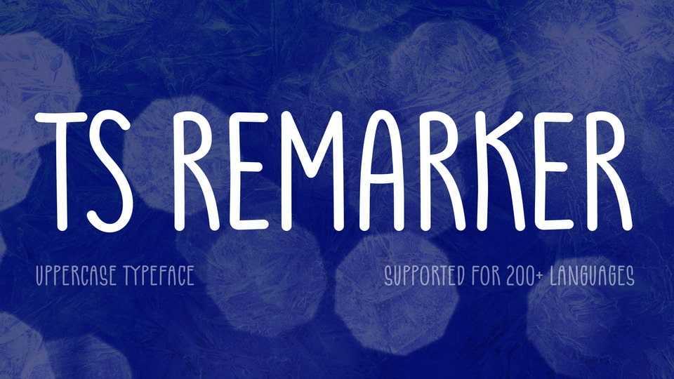 TS Remarker Font › Fontesk