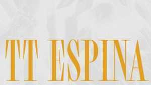 TT Espina Font Family › Fontesk