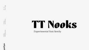 TT Nooks Font Family › Fontesk