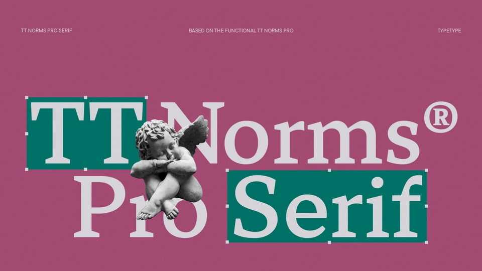 TT Norms Pro Serif Font Family › Fontesk
