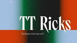 TT Ricks Font Family › Fontesk