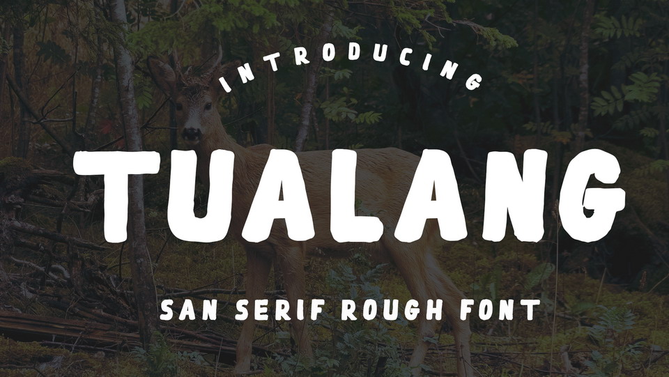 Tualang Font › Fontesk