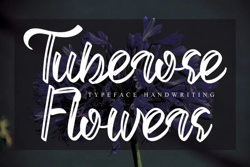 Tuberose Flowers Script Font