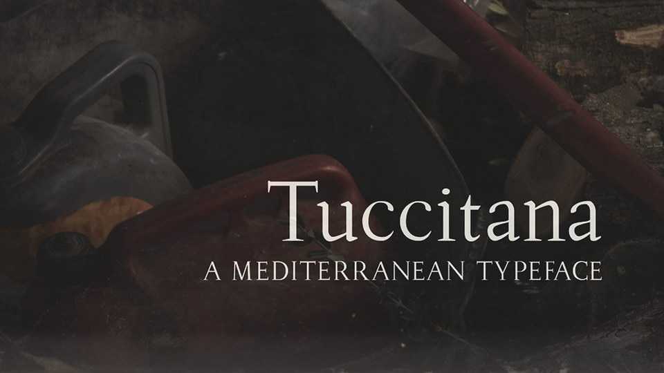 Tuccitana Font › Fontesk