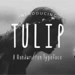Tulip Font