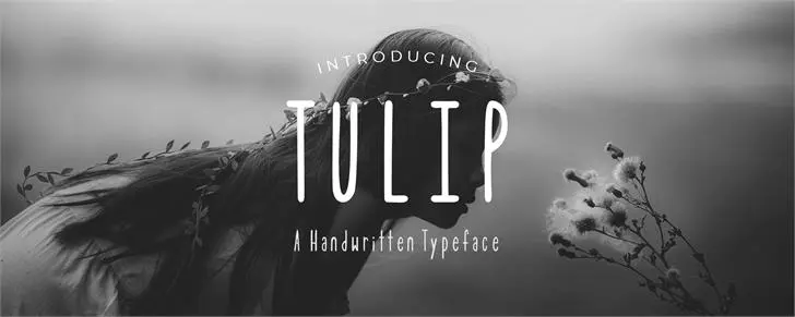 Tulip Font