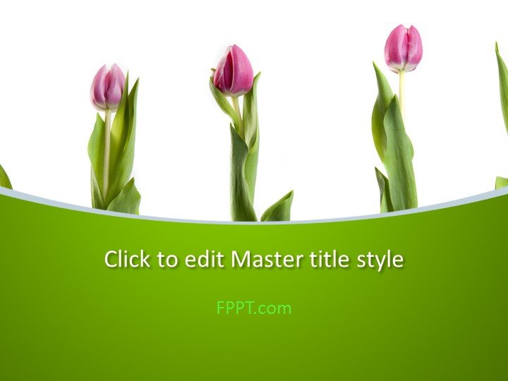 Tulips PowerPoint Template
