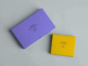 Two Mailing Boxes Mockup (PSD)