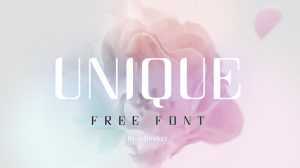 Unique Font › Fontesk