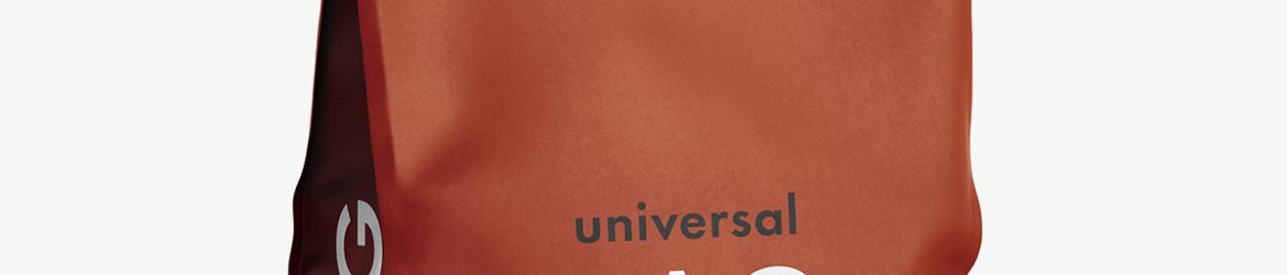 Universal bag with seal mockup / kraft paper