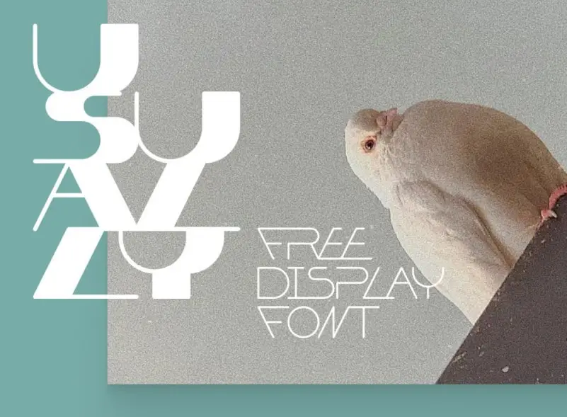Usually Display Font