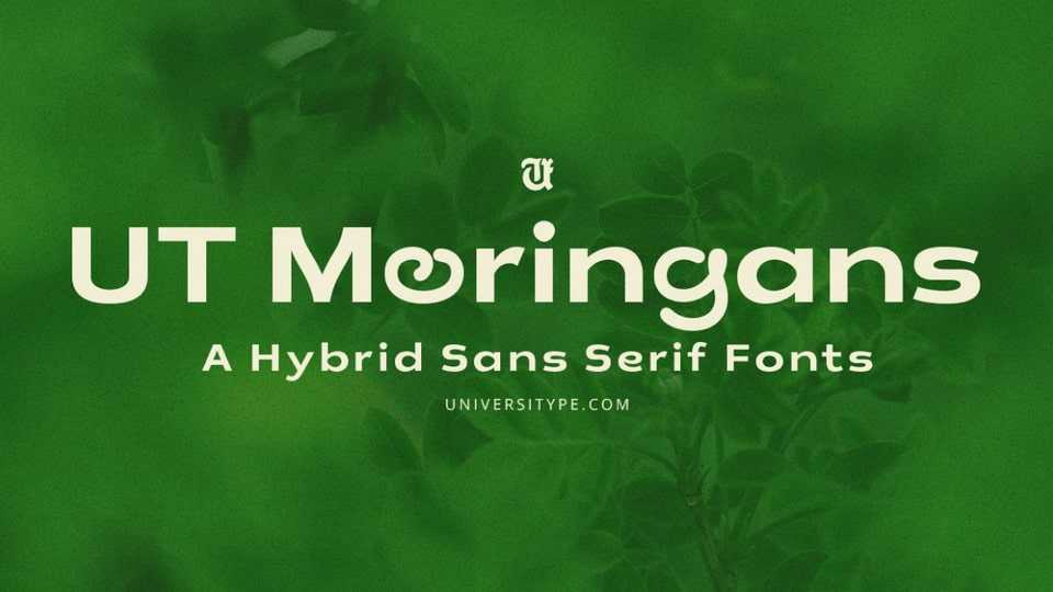 UT Moringans Font › Fontesk