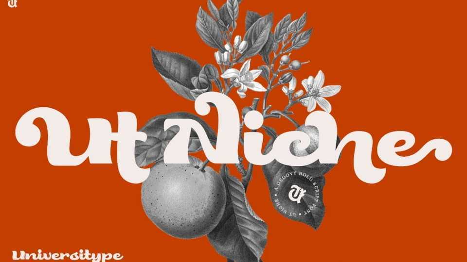 UT Niche Font › Fontesk