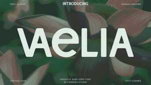 Vaelia Font › Fontesk