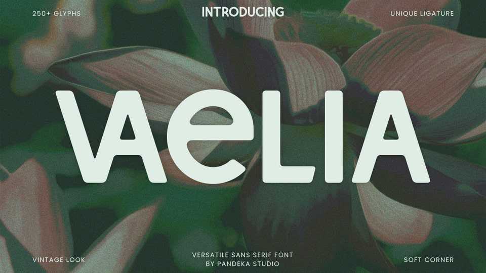 Vaelia Font › Fontesk
