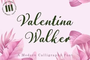 Valentina Walker Script Font