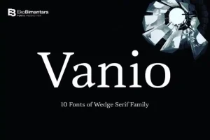 Vanio Trial Serif Font Family