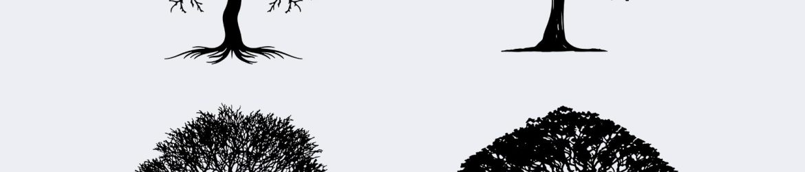Vector Tree Silhouettes Clipart