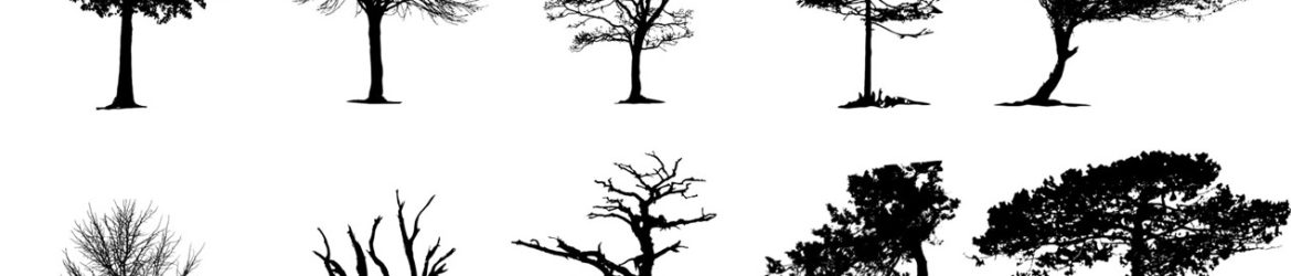 Vector Tree Silhouettes Pack