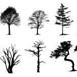 Vector Tree Silhouettes Pack