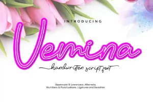 Vemina Handwritten Scipt Font