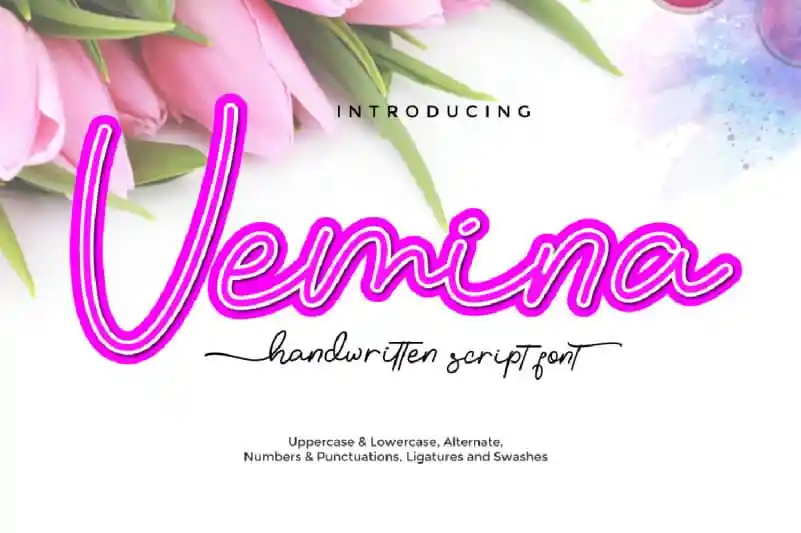 Vemina Handwritten Scipt Font