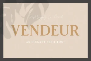 Vendeur Serif Font