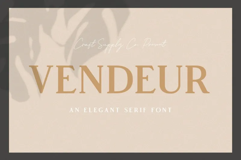 Vendeur Serif Font