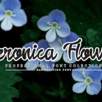 Veronica Flower Script Font