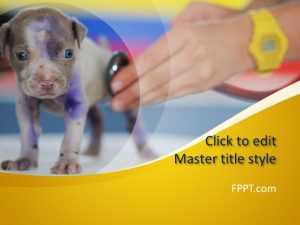 Vet PowerPoint Template