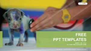 Veterinarian checking up sick dog with stethoscope in vet clinic PowerPoint Templates