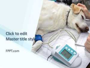 Veterinary Clinic PowerPoint Template