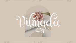 Vilmada Handwritten Font › Fontesk