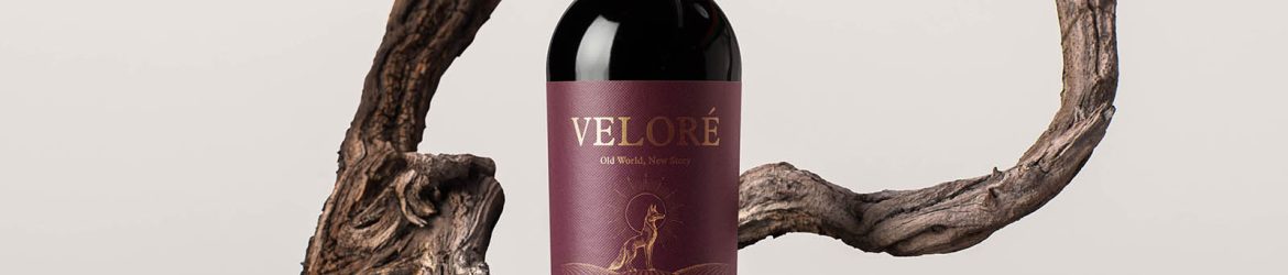 Vine-propped wine bottle mockup