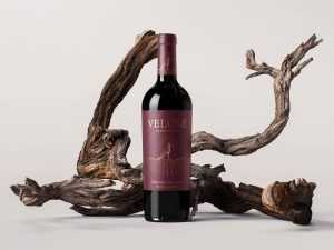 Vine-propped wine bottle mockup