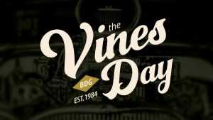 Vinesday Script Font › Fontesk