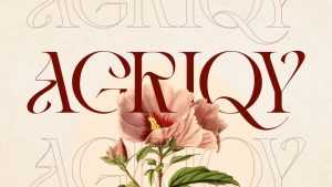 Vintage Agriqy Font › Fontesk