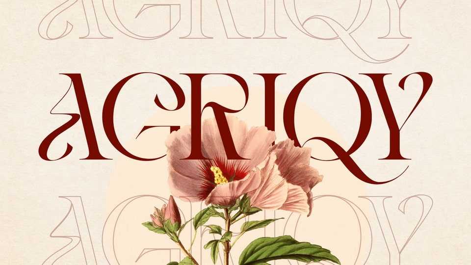 Vintage Agriqy Font › Fontesk