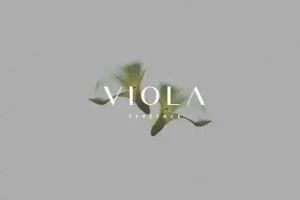 Viola Sans Serif Font