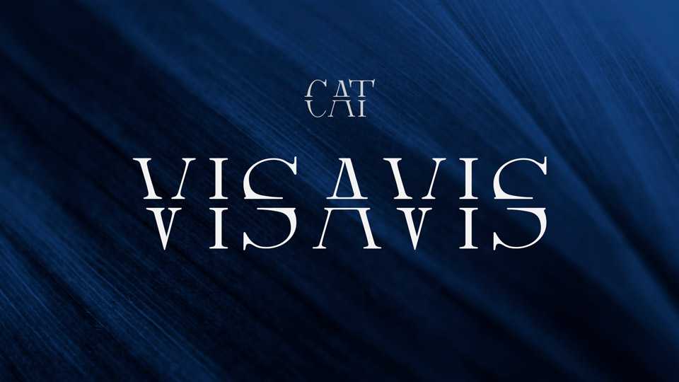 Vis-A-Vis Font › Fontesk