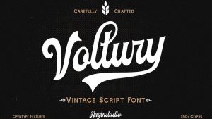 Voltury Script Font › Fontesk