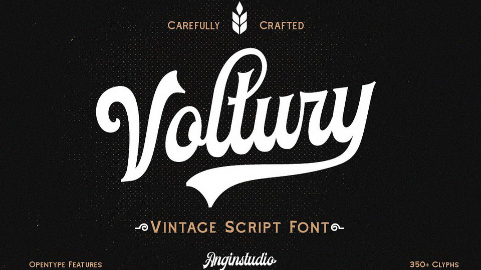 Voltury Script Font › Fontesk