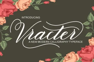 Vracter Script Font