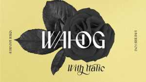 Wahog Font › Fontesk