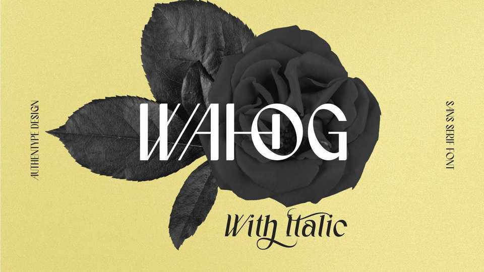 Wahog Font › Fontesk