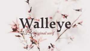 Walleye Font Family › Fontesk